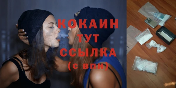 гидра Михайловск