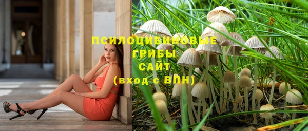 соль ск Абинск