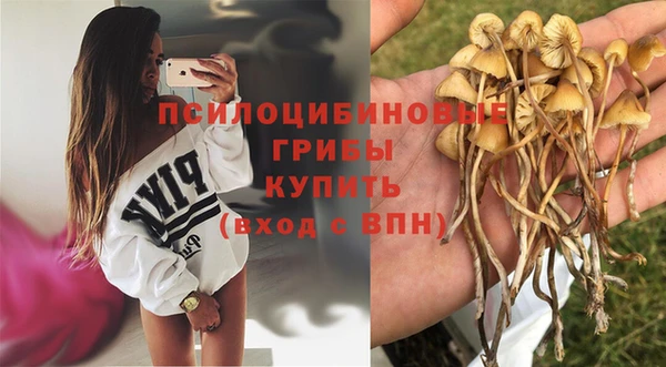 не бодяженный Абаза