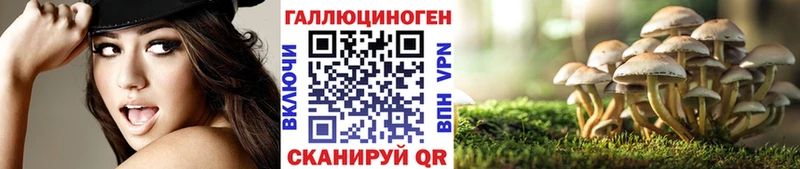 даркнет формула  Химки  Галлюциногенные грибы Psilocybe  цены  